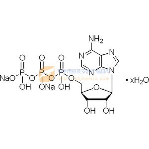 腺苷-5'-三磷酸二钠盐水合物，Adenosine 5'-Triphosphate Disodium Salt Hydrate，34369-07-8，1G