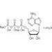 腺苷-5'-三磷酸二钠盐水合物，Adenosine 5'-Triphosphate Disodium Salt Hydrate，34369-07-8，5G