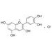 氯化矢车菊素, 来源于黑豆皮、黑米