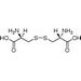 L-(-)-胱氨酸，L-(-)-Cystine ，56-89-3，25G