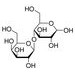 (2R,3R,4R,5R)-2,3,5,6-四羟基-4-((2S,3R,4S,5R,6R)-3,4,5-三羟基-6-(羟甲基)四氢-2H-吡喃-2-基)氧基)己醛