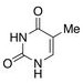 胸腺嘧啶，Thymine ，65-71-4，100G